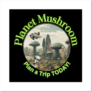 Mushroom Planet, Come Visit! Posters and Art